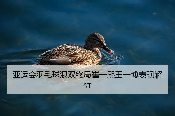 亚运会羽毛球混双终局崔一熙王一博表现解析